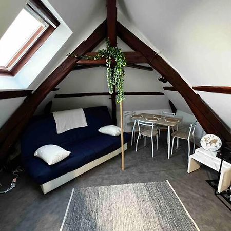 Tres Beau Studio Mansarde, Centre De Bourges Exterior foto