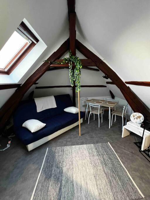 Tres Beau Studio Mansarde, Centre De Bourges Exterior foto