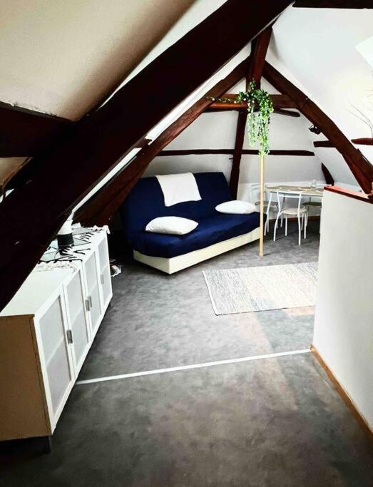 Tres Beau Studio Mansarde, Centre De Bourges Exterior foto